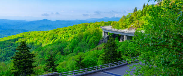 Scenic mountain road winding through lush green forest under a clear blue sky.