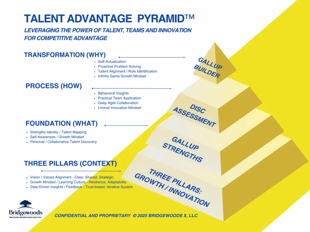 A pyramid diagram illustrating the Talent Advantage framework with three pillars and foundation.