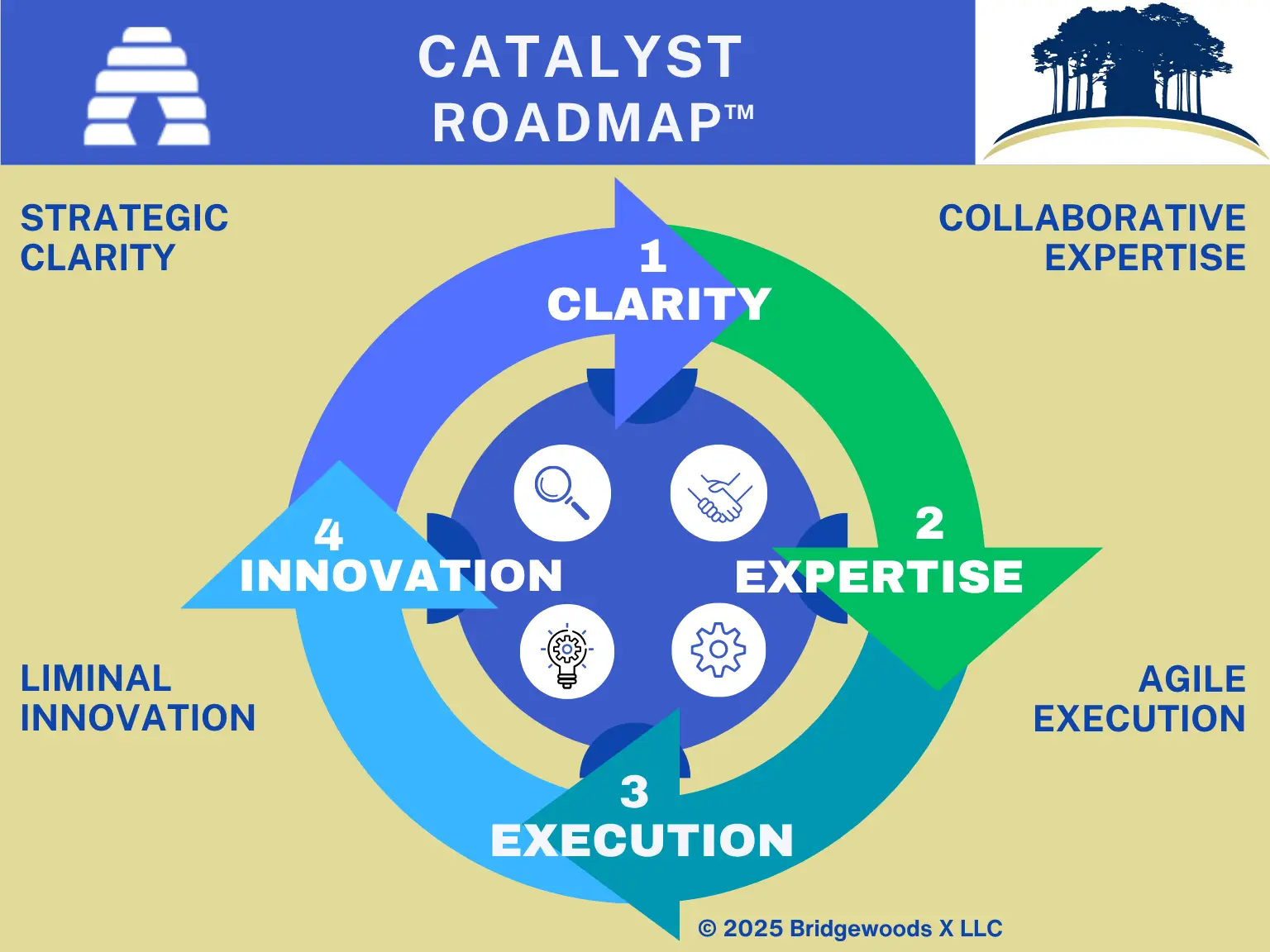 Catalyst Roadmap showing clarity, expertise, execution, and innovation stages.