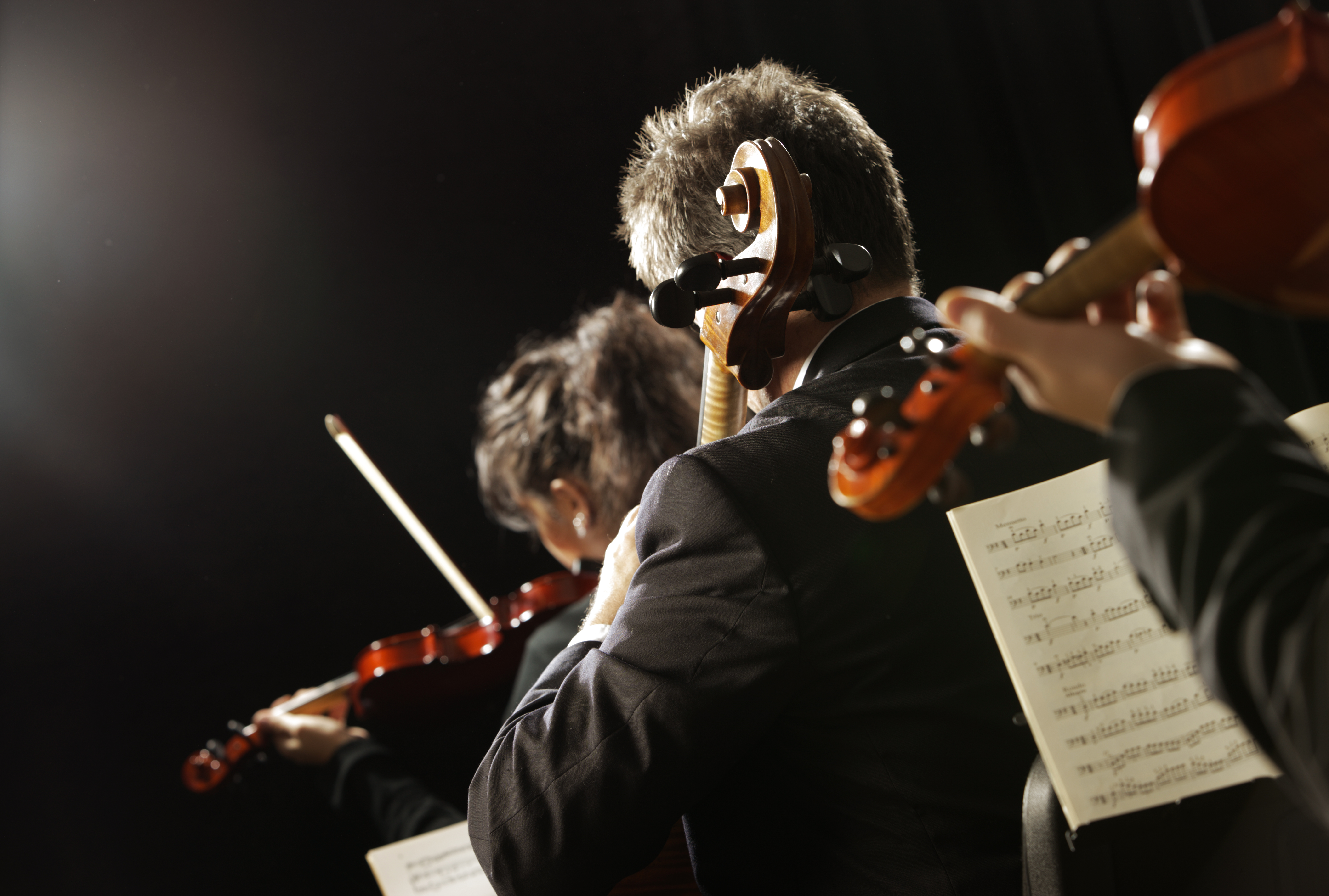 Musicians playing string instruments in an orchestra performance.